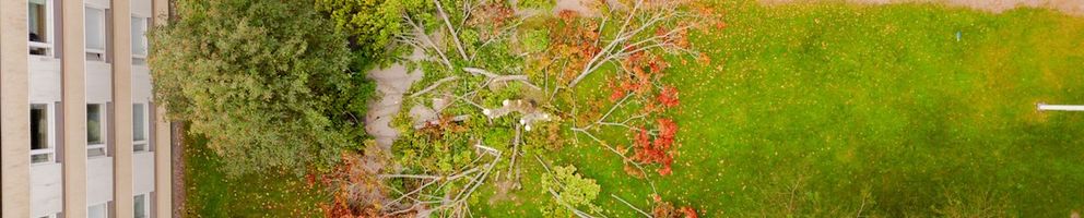 Puunkaatajat Suomi Oy